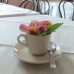 Szálloda Fiordaliso 2*