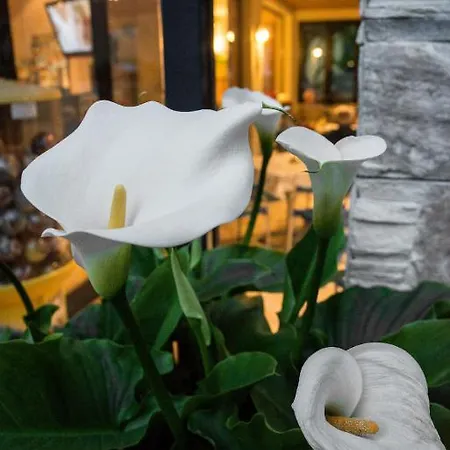 Fiordaliso Отель